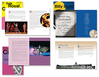 201 fundoTM 2013 cat